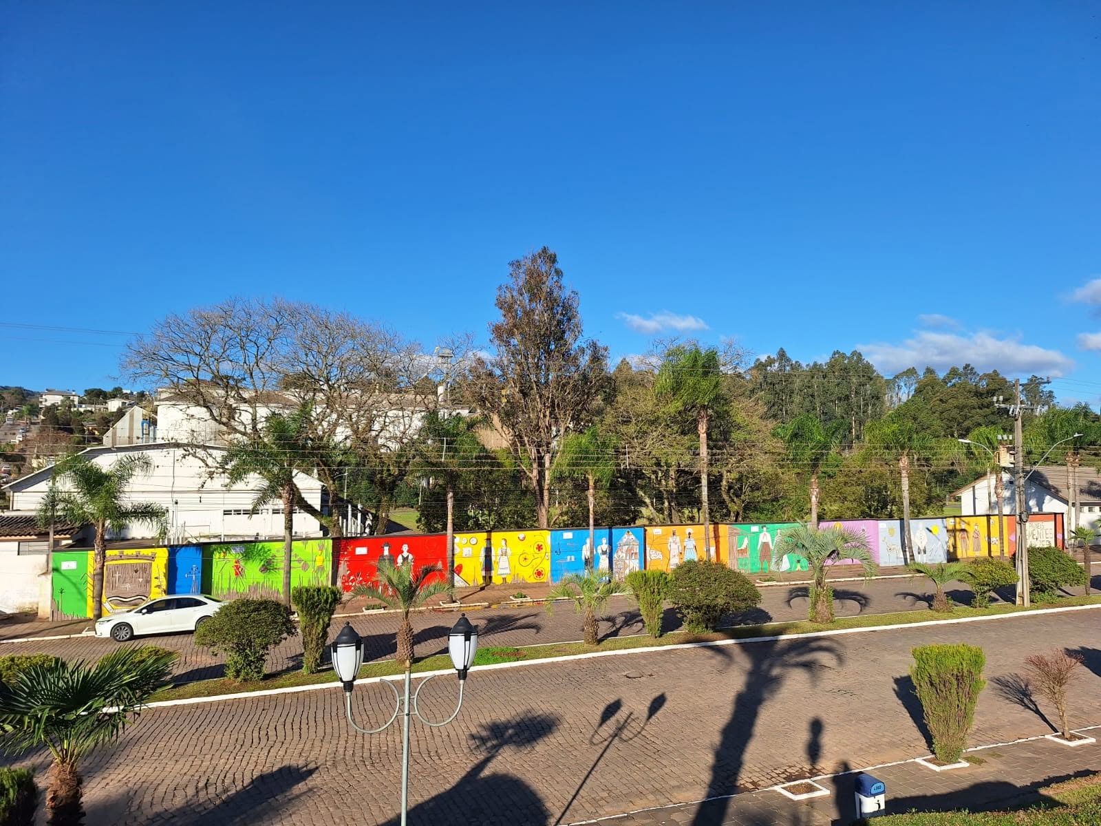 Muro Sementes e Raízes